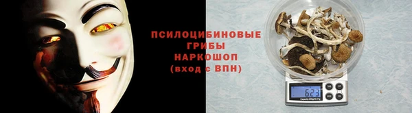 ешки Алзамай