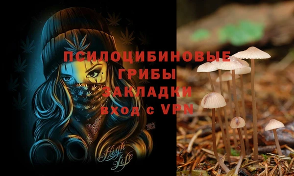 MDMA Алексеевка