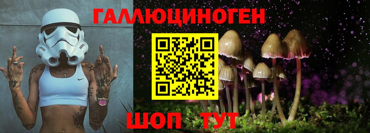 Мытищи  Псилоцибиновые грибы прущие грибы  Вход с VPN 